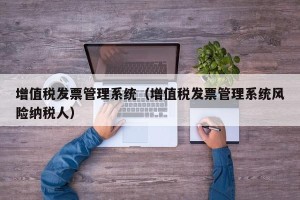 增值税发票管理系统（增值税发票管理系统风险纳税人）