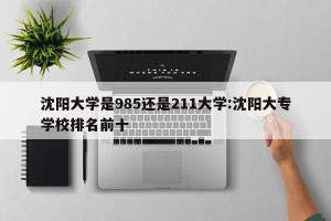 沈阳大学是985还是211大学:沈阳大专学校排名前十