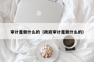 审计是做什么的（政府审计是做什么的）