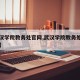 【武汉学院教务处官网,武汉学院教务处官网入口】
