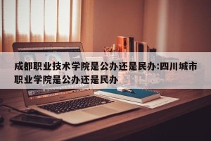 成都职业技术学院是公办还是民办:四川城市职业学院是公办还是民办