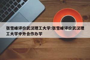 张雪峰评价武汉理工大学:张雪峰评价武汉理工大学中外合作办学