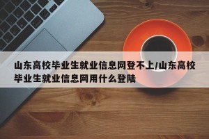 山东高校毕业生就业信息网登不上/山东高校毕业生就业信息网用什么登陆